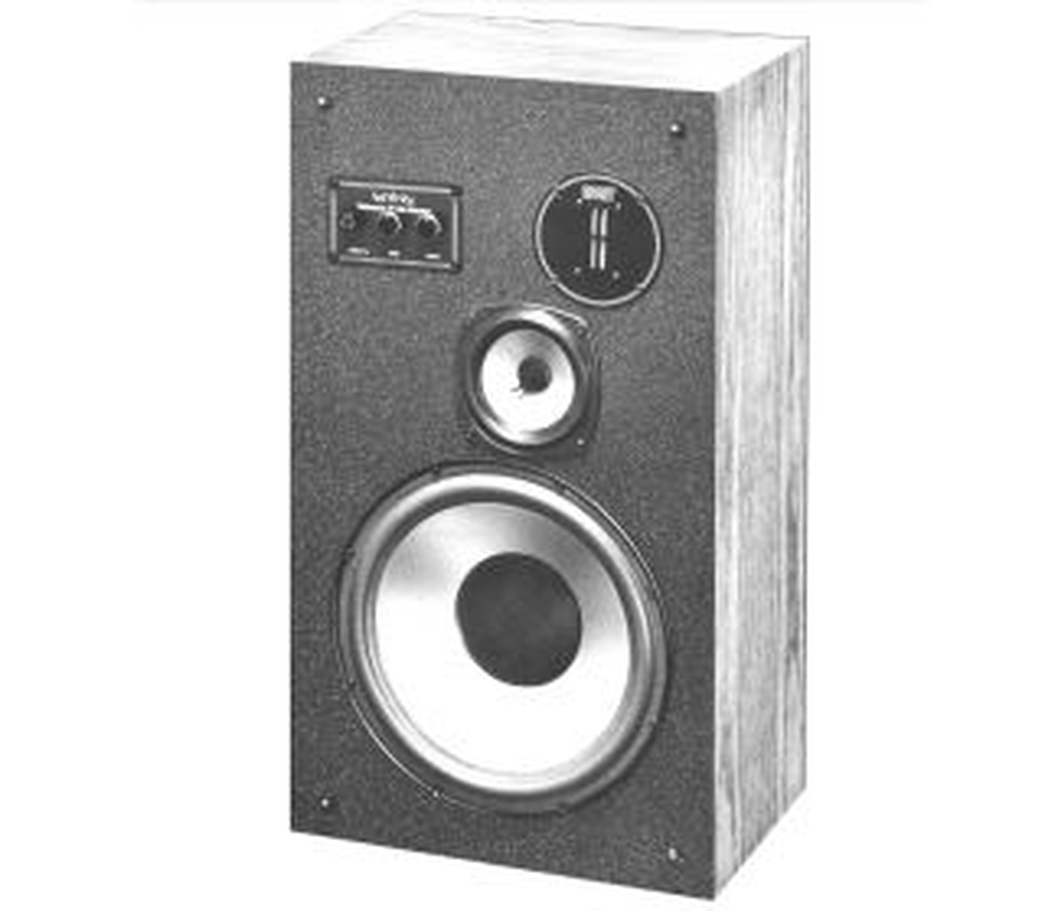 REFERENCE STUDIO MONITOR RSM - Black - 3-Way 250 Watt Speaker - Hero